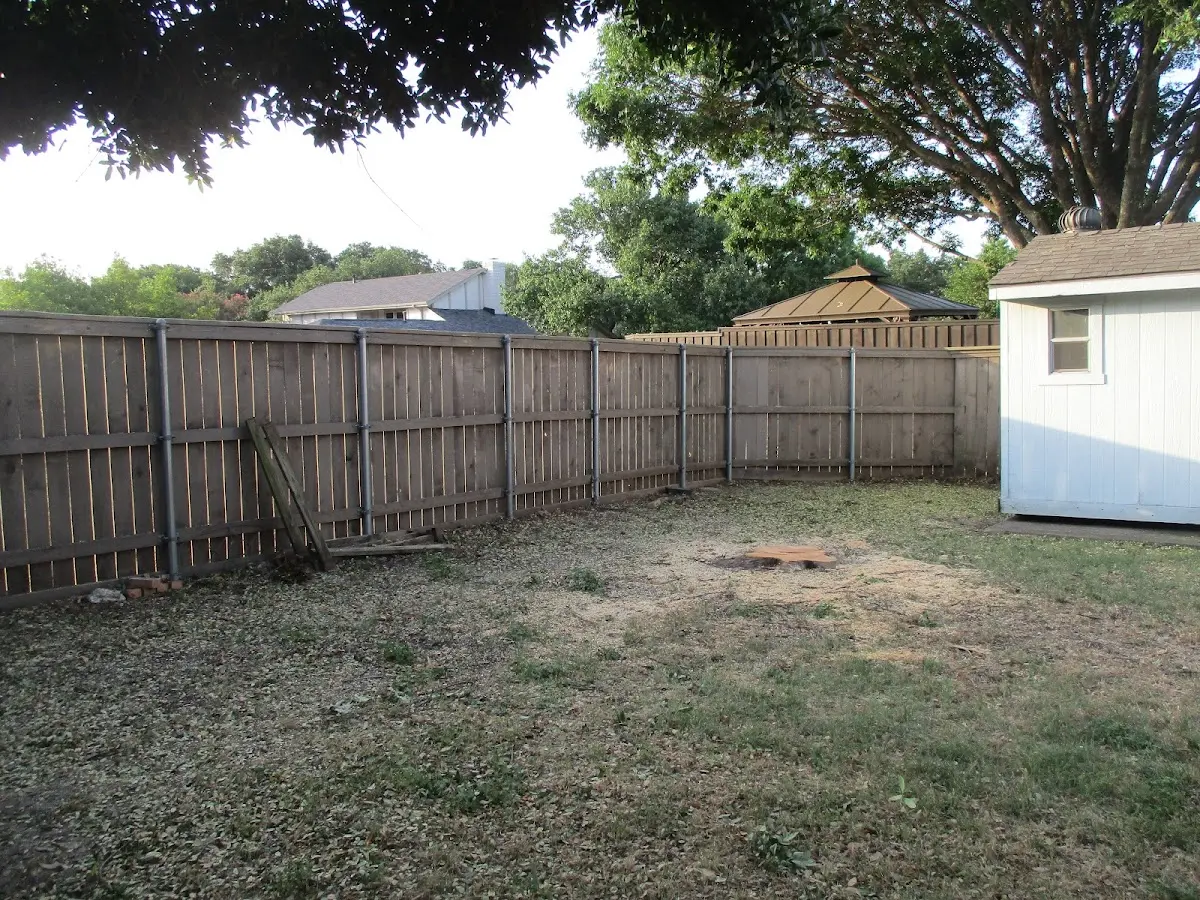 Cleared yard after professional tree removal in Dexter City